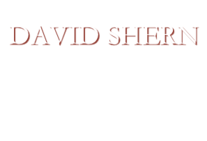Never Forgotten&#10;DAVID SHERN&#10;1974 - 2009&#10;Son, Brother, Father, Friend&#10;and Husband&#10;We Miss You, Dave!